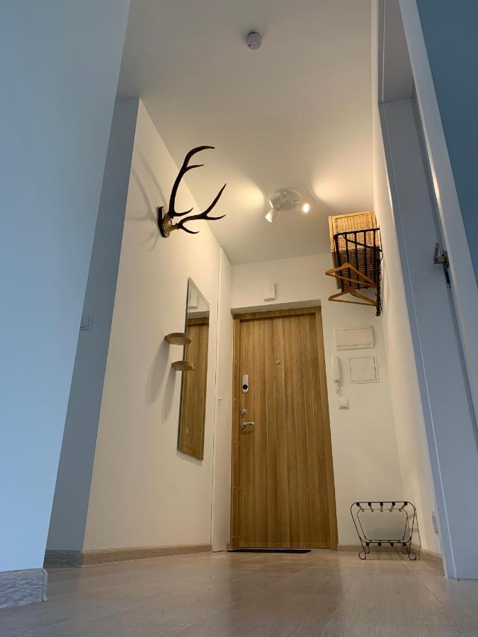 Homely Apartment In Kėdainiai Esterno foto